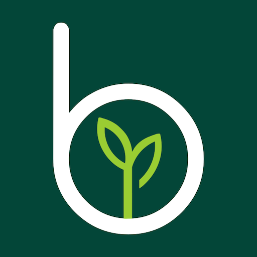 Blossm